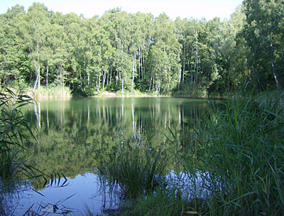 Kleiner Wildgruber See